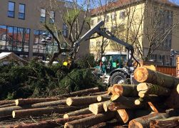 Holzmarkt 2018  In Jena 0011